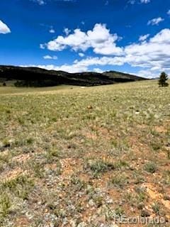 25 Sulky Ct, Hartsel, CO 80449 - photo 7