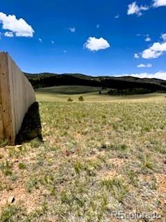 25 Sulky Ct, Hartsel, CO 80449 - photo 9