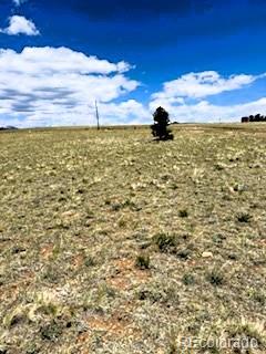 25 Sulky Ct, Hartsel, CO 80449 - photo 10