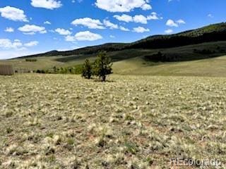 25 Sulky Ct, Hartsel, CO 80449 - photo 11