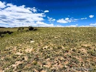 25 Sulky Ct, Hartsel, CO 80449 - photo 13