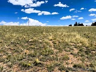 25 Sulky Ct, Hartsel, CO 80449 - photo 14