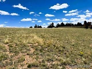 25 Sulky Ct, Hartsel, CO 80449 - photo 15