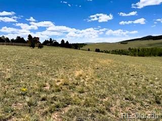 25 Sulky Ct, Hartsel, CO 80449 - photo 16