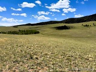 25 Sulky Ct, Hartsel, CO 80449 - photo 17
