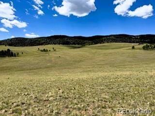 25 Sulky Ct, Hartsel, CO 80449 - photo 18