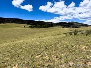 25 Sulky Ct, Hartsel, CO 80449 - photo 19