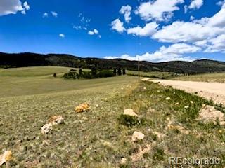 25 Sulky Ct, Hartsel, CO 80449 - photo 21
