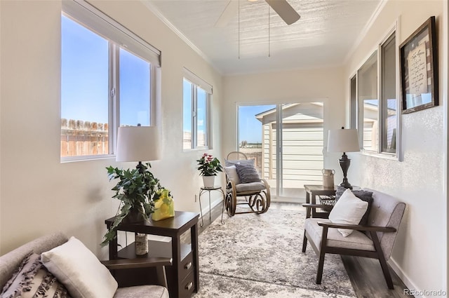 1141 Beech St, Fort Lupton, CO 80621 - sunroom / solarium with healthy amount of natural light
