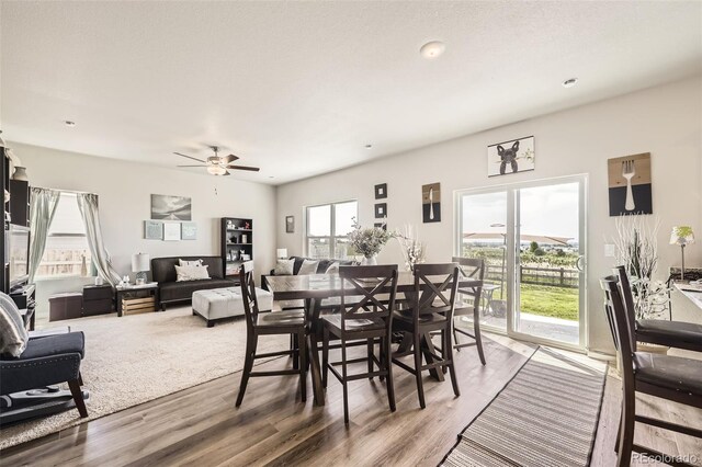 1063 Gianna Ave, Fort Lupton, CO 80621 - photo 6