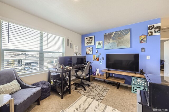 1063 Gianna Ave, Fort Lupton, CO 80621 - photo 16