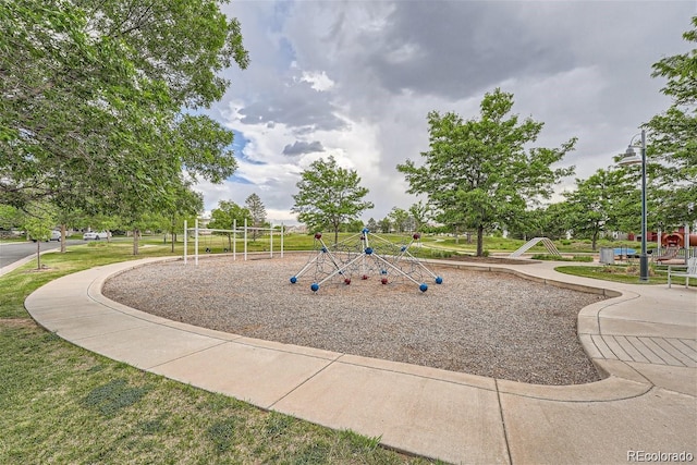 view of jungle gym