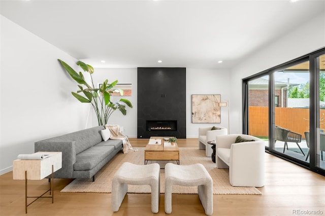 living area with wood finished floors, a fireplace, and recessed lighting
