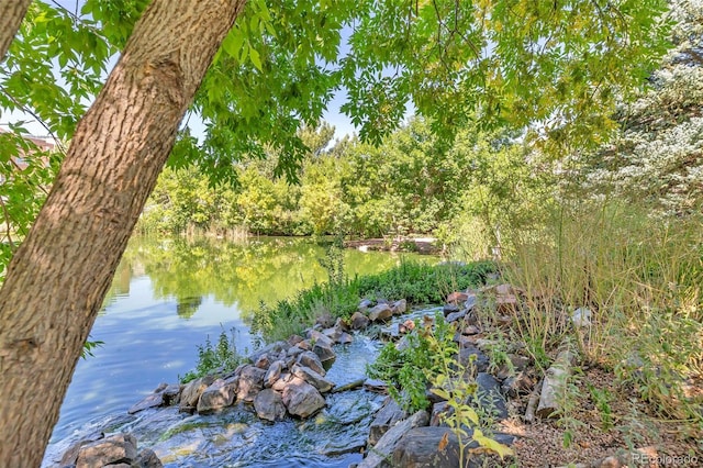 view of water feature