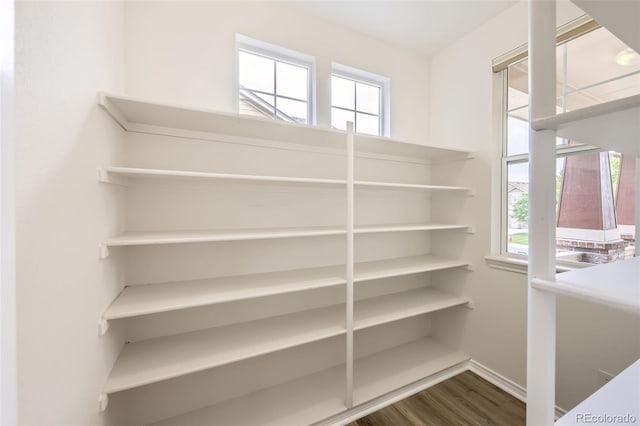 1100 Columbine Way, Erie, CO 80516 - photo 24