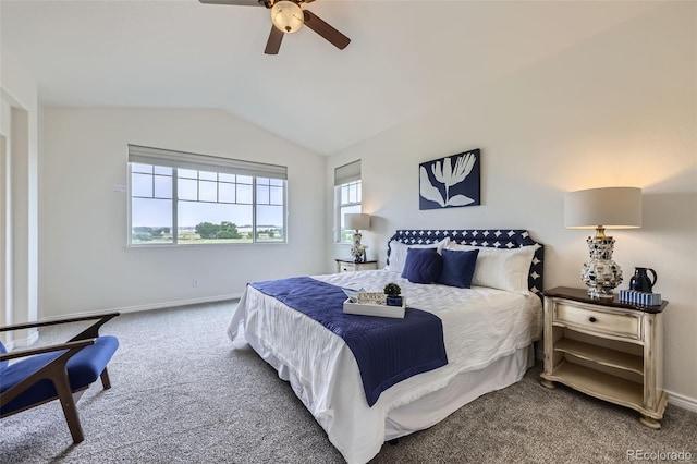 1100 Columbine Way, Erie, CO 80516 - photo 28