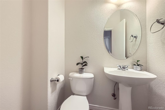 1100 Columbine Way, Erie, CO 80516 - photo 42