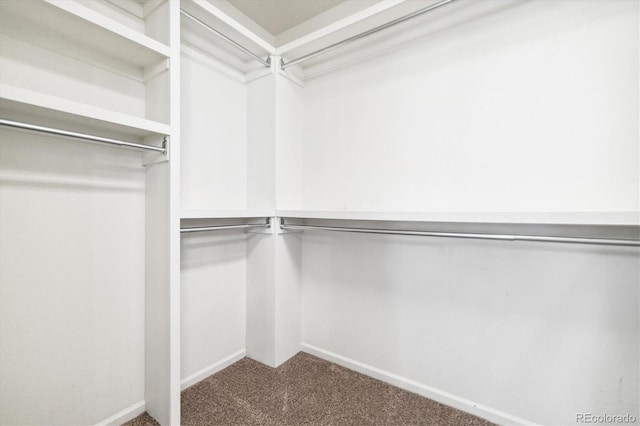 spacious closet with carpet flooring