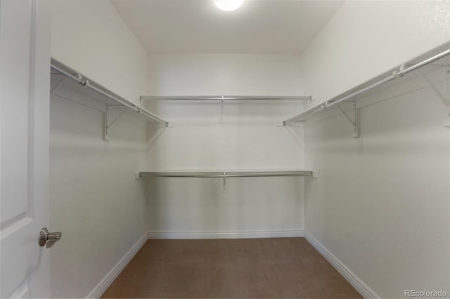 walk in closet with carpet