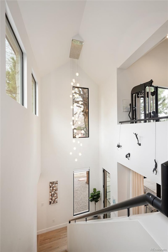 62 Jasmine St, Denver, CO 80220 - stairs featuring high vaulted ceiling, healthy amount of natural light, baseboards, and wood finished floors