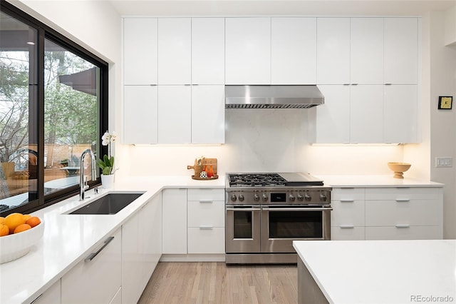 62 Jasmine St, Denver, CO 80220 - kitchen featuring double oven range, range hood, a sink, and modern cabinets