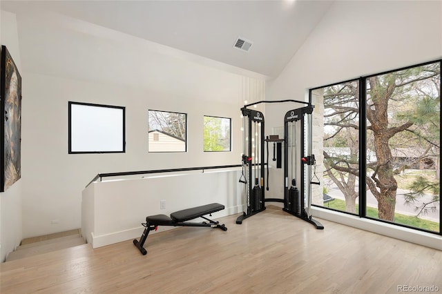 62 Jasmine St, Denver, CO 80220 - exercise area with light wood-style flooring, high vaulted ceiling, and baseboards