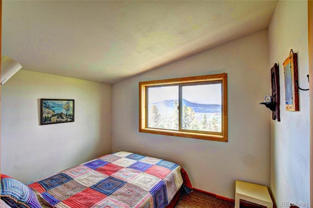 28 Concord Ct, Jefferson, CO 80456 - photo 13