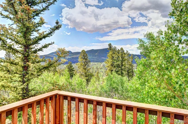 28 Concord Ct, Jefferson, CO 80456 - photo 19