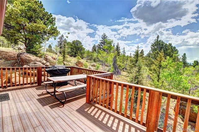 28 Concord Ct, Jefferson, CO 80456 - photo 22
