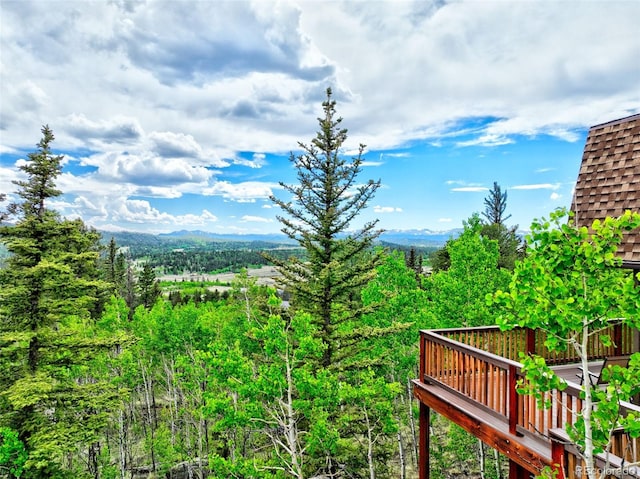 28 Concord Ct, Jefferson, CO 80456 - photo 23