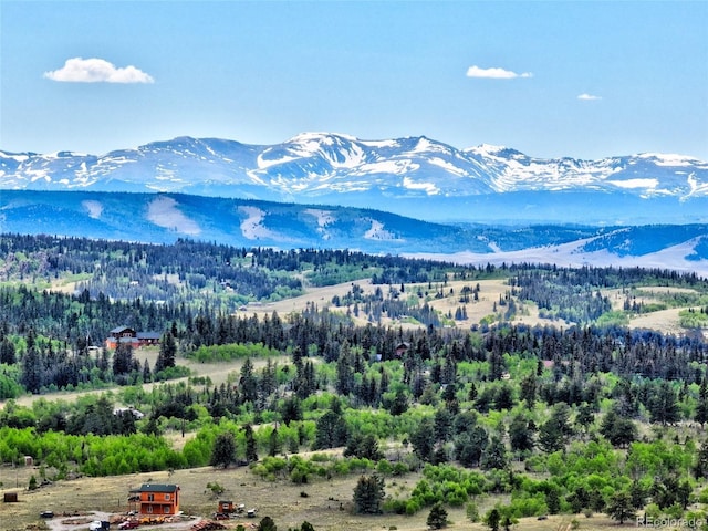 28 Concord Ct, Jefferson, CO 80456 - photo 24
