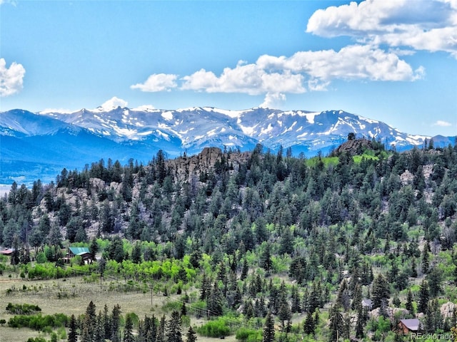 28 Concord Ct, Jefferson, CO 80456 - photo 29
