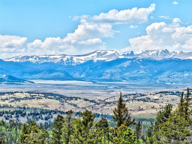 28 Concord Ct, Jefferson, CO 80456 - photo 39