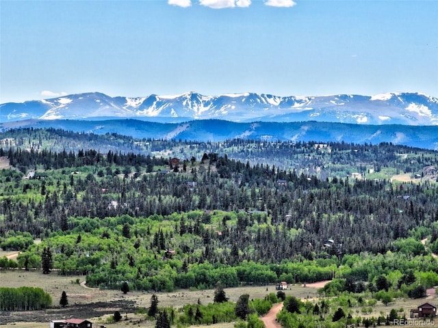 28 Concord Ct, Jefferson, CO 80456 - photo 42