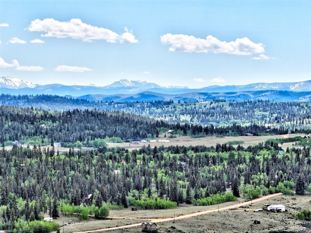 28 Concord Ct, Jefferson, CO 80456 - photo 45