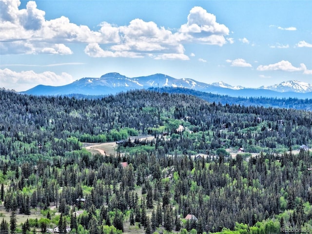 28 Concord Ct, Jefferson, CO 80456 - photo 47