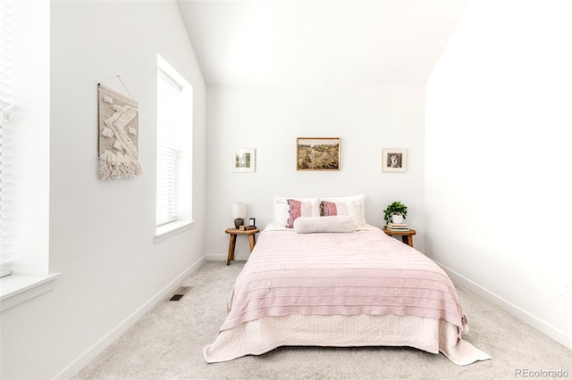 5025 Central Park Blvd, Denver, CO 80238 - bedroom featuring carpet flooring, baseboards, and vaulted ceiling