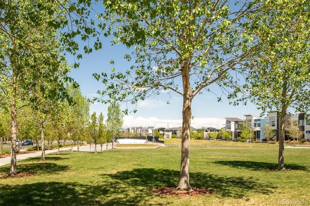 5025 Central Park Blvd, Denver, CO 80238 - view of property's community with a lawn and a residential view