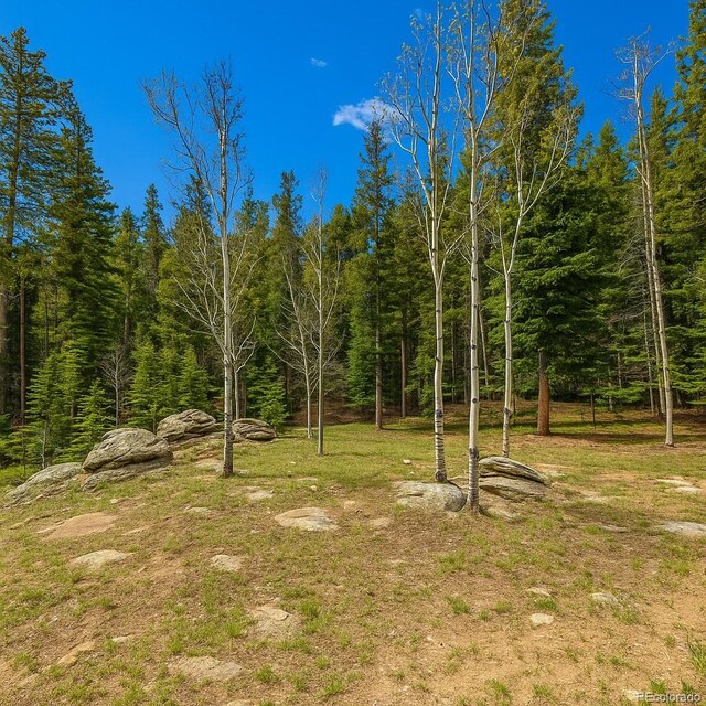33606 Gap Rd, Golden, CO 80403 - photo 7