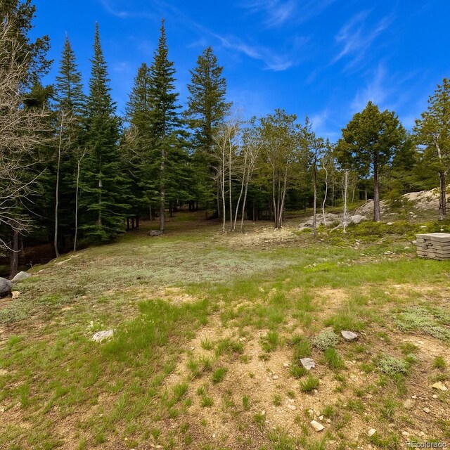 33606 Gap Rd, Golden, CO 80403 - photo 8