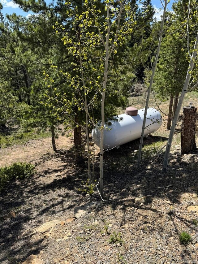 33606 Gap Rd, Golden, CO 80403 - photo 34