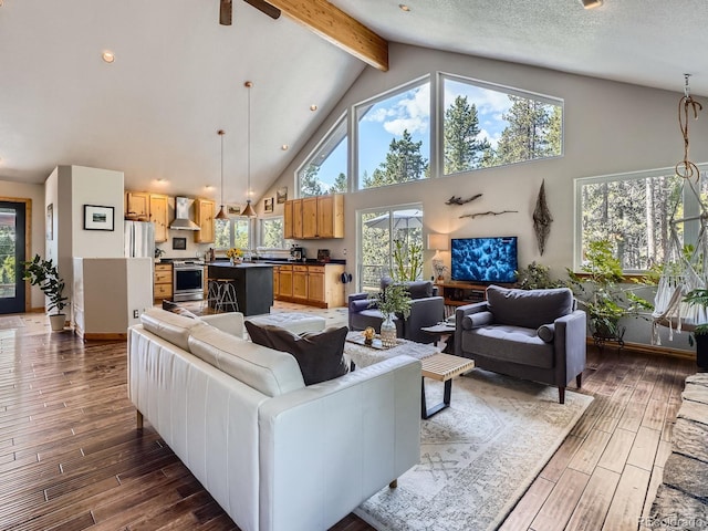 32663 Donna Dr, Conifer, CO 80433 - living room with high vaulted ceiling, wood finished floors, beam ceiling, ceiling fan, and recessed lighting