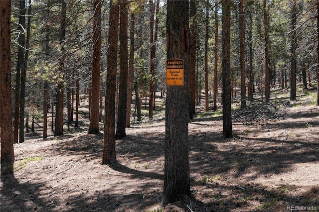 32663 Donna Dr, Conifer, CO 80433 - view of wooded area