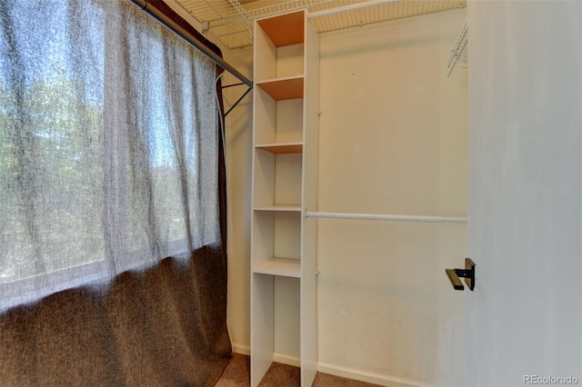 3769 Dahlia St, Denver, CO 80207 - walk in closet featuring carpet floors
