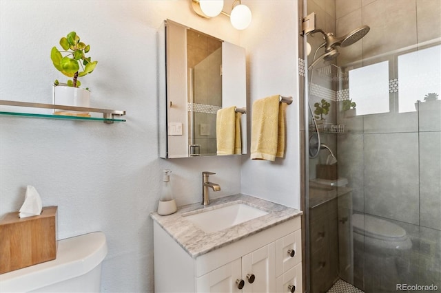 bathroom featuring toilet, a shower stall, and vanity