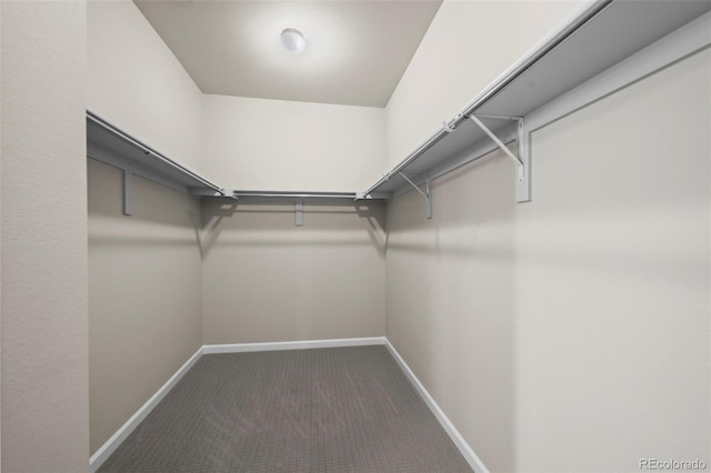 1677 Meagan Way, Erie, CO 80516 - walk in closet with carpet