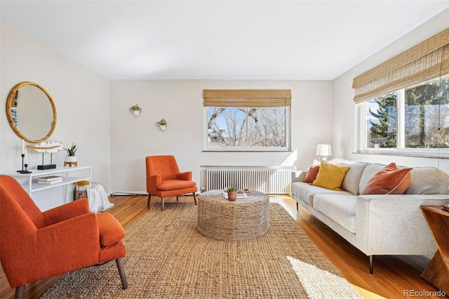 living area with radiator heating unit and wood finished floors