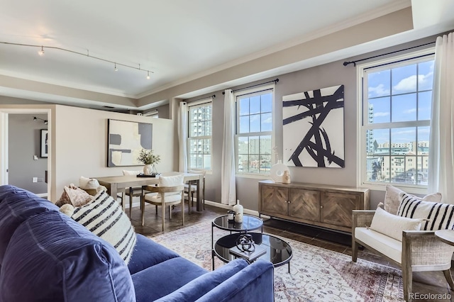 living room with ornamental molding, hardwood / wood-style floors, track lighting, and plenty of natural light