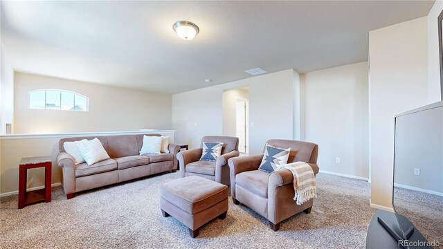 172 Painted Horse Way, Erie, CO 80516 - photo 11