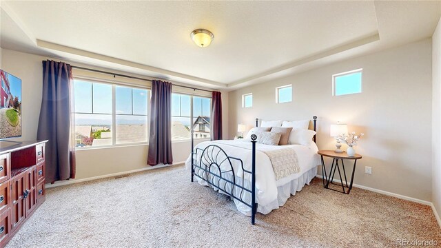 172 Painted Horse Way, Erie, CO 80516 - photo 16